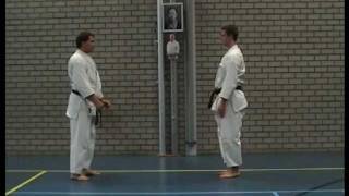 Pinan Nidan and Bunkai Shito ryu [upl. by Goldina]