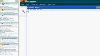 How to Add domains on VPS  Check Server Status on VPS WHM Server [upl. by Enieledam]