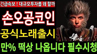 손오공코인 SunWukong 긴급속보 공식노래출시 대규모투자의 이유 만 떡상 나옵니다 필수시청 코미녀 [upl. by Leonor]