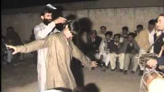 lakki marwat baz kalla imran wedding [upl. by Acisseg]