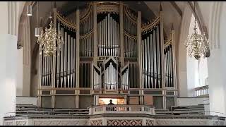 SauerOrgel  Stadtkirche Lutherstadt Wittenberg  Choral EG 147  Wachet auf ruft uns die Stimme [upl. by Ejrog]