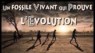 Laetoli  Un fossile vivant qui prouve lévolution [upl. by Anyer]