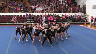 2017 Cheer for a Cure Carmi IL  TriState Alumni Cheer Team [upl. by Nol]