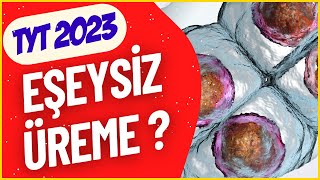 EŞEYSİZ ÜREME  Hücre Bölünmeleri ve Üreme  TYT BİYOLOJİ 2023  Bölüm 27 [upl. by Averi]