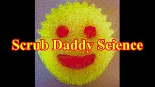 Scrub Daddy Science [upl. by Darcee]