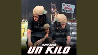 Un Kilo [upl. by Proudman]