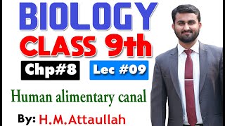 Human alimentary canal  Smart syllabus  Chapter 8  9th class Biology  Lec 9 [upl. by Nyvrem949]