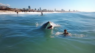 One of The WORST Great White Sharks Attacks in History [upl. by Otti492]