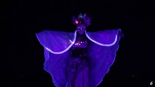 FairyWings in UV light [upl. by Norvan395]