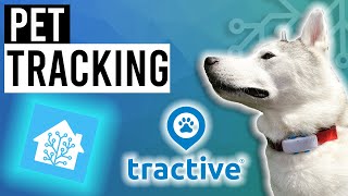 Simple GPS Pet Tracking in HOME ASSISTANT [upl. by Helga]