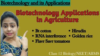 Class 12 Biology  Biotechnology amp its Applications Part 1  Chapter 12 notes [upl. by Pebrook11]