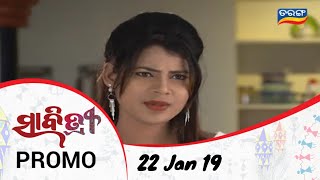 Savitri  22 Jan 19  Promo  Odia Serial  TarangTV [upl. by Akinuahs]