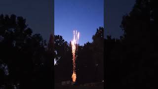 25 SHOT SUPER CRACKLE FIREWORK INSTANT DOMINATOR 14 PRO shorts Dominatorpro 14 pro [upl. by Ayaj111]