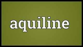 Aquiline Meaning [upl. by Aokek]