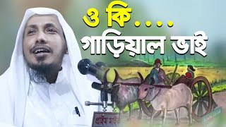 ও কি গাড়িয়াল ভাইগানগাইলেন Rafiqullah Afsari New Waz নোয়াখালী হুজুর রফিক উল্লাহ আফসারী [upl. by Amein]