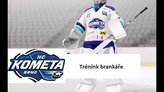 NHL 17 CZ  Trénink  Brankář  Xbox one [upl. by Spector]