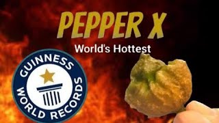 Pepper X Worlds Hottest Pepper [upl. by Atsirhcal504]