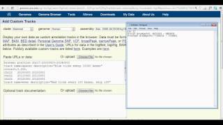 How to Add a Custom Track onto the UCSC Genome Browser [upl. by Kra]