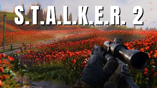 Why Stalker 2 Will be the Most Immersive Game youve Ever Played [upl. by Atinuj286]