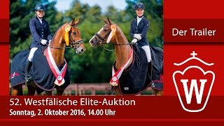 Westfälische EliteAuktion 02 Oktober 2016  Der Trailer Version 2 [upl. by Esilram]