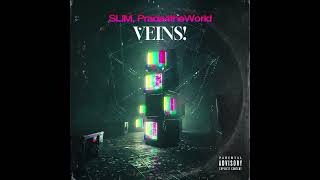 SLM  VEINS feat Prada4theWorld Official Auido [upl. by Sunderland]