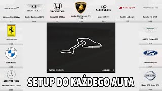 ACC Nurburgring GP  Setup do każdego auta [upl. by Mehetabel]