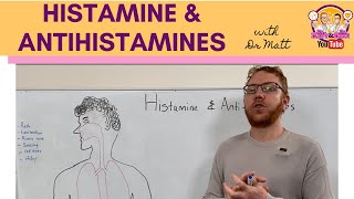 Histamine and Antihistamines Meds [upl. by Siurad]