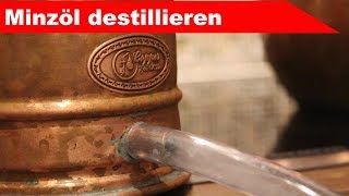 🌷 Minze destillieren 🌻  ätherisches Öl selber machen  diSTILLed [upl. by Suanne]