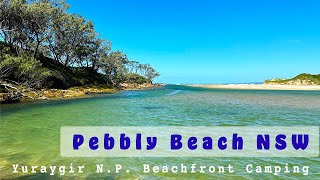 Pebbly Beach II  We liked it that much we came back [upl. by Corena]