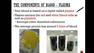 four components of blood  RBC WBC PLASMA and PLATELETS GCSE combined science [upl. by Natsirt243]