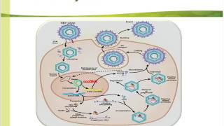 Quantitative HBsAg and its Role in Chronic Hepatitis B Patient Management [upl. by Elbring]