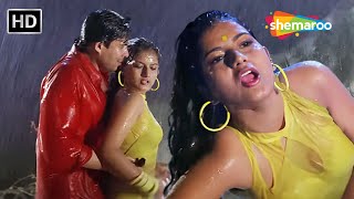 Aapko Dekhkar Chha Gaya Kya Suroor  Deepak Tijori amp Rutika  Sarhad 1995  Kumar Sanu Kavita K [upl. by Nosittam]