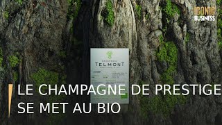 Le champagne de prestige se met au bio [upl. by Assilim557]