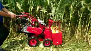 Small Corn Harvester Selfpropelled Handpushing Type [upl. by Anhoj]