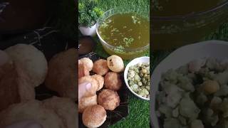 golgappa eating Asmr😋trending vedeoytshortsmaahis experience 👍 [upl. by Eneles22]