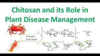 Chitosan and its Role in Plant Disease Management [upl. by Aizan]