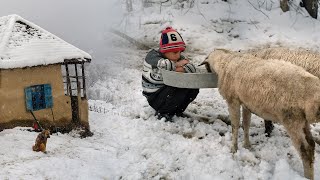 Snow Village life and Culinary Traditions in Talesh Mountains  IRAN [upl. by Nerag]