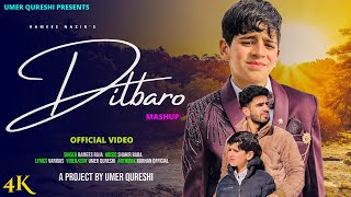 DILBARO  KASHMIRI SUPER HIT SONG  RAMEES NAZIR  UMER QURESHI SHAKIR BABA [upl. by Gosney906]