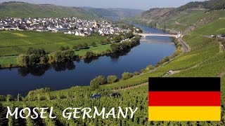 Mosel Wine tourism German Riesling Wine Moselle Valley Germany wines DeutschlandTourismus Travel [upl. by Mandel]