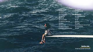 Playlist SZA  SOS Full Album with Lyrics [upl. by Nevetse]