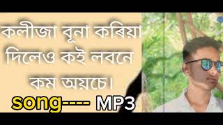 koleja Buna koriyan delaw koi lobun Kom oise new bangla song 2024 [upl. by Saeger549]