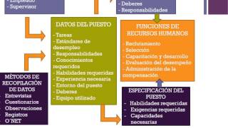 Análisis y descripción de puestos [upl. by Nnylannej]