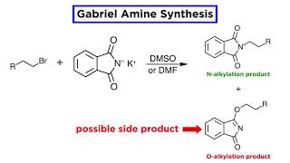 Gabriel Amine Synthesis [upl. by Zabrina]