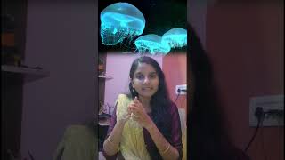 🪼Bioluminescence 🪼chennai bioluminescence views tamilshorts tamil youtubeshorts viralvideo [upl. by Leesen506]