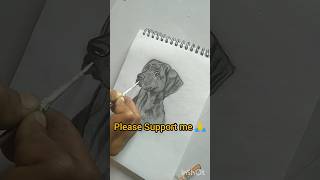 pencil sketch 🎨youtubeshorts drawingpleasesubscribemychannel [upl. by Osnofla]