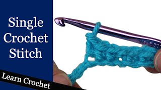 Single Crochet Stitch  Beginner Course Lesson 6 [upl. by Damarra]