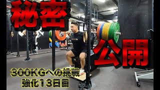 秘密のトレーニング公開！山本流ボックススクワット【解説付き】【Toshiki Yamamoto 山本俊樹 Back Squat 330KGへの挑戦 強化13日目】 [upl. by Neelyk173]