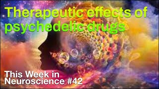 Magic Mushrooms with special guest Paul Stamets [upl. by Lamraj]