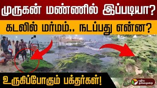 முருகன் மண்ணில் இப்படியா கடலில் மர்மம் நடப்பது என்ன  உருகிப்போகும் பக்தர்கள்  Thiruchendur [upl. by Desdee806]