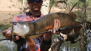 Fishing with DUO 20 Spybaiting in Australia [upl. by Feltie]